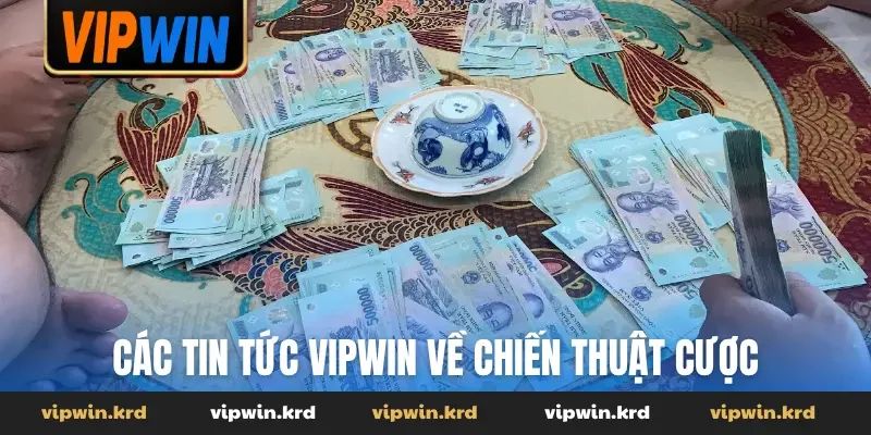 Các tin tức Vipwin về chiến thuật cược