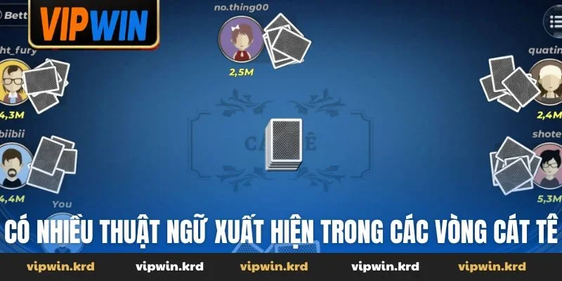 Có nhiều thuật ngữ xuất hiện trong các vòng cát tê