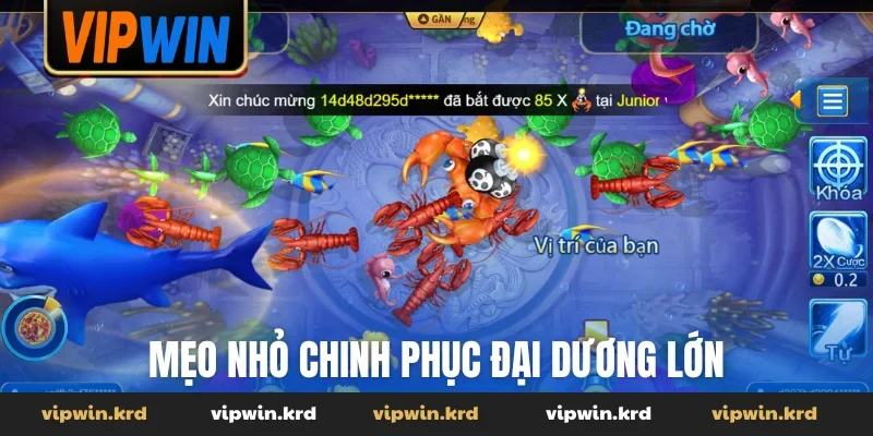 Mẹo nhỏ chinh phục đại dương lớn