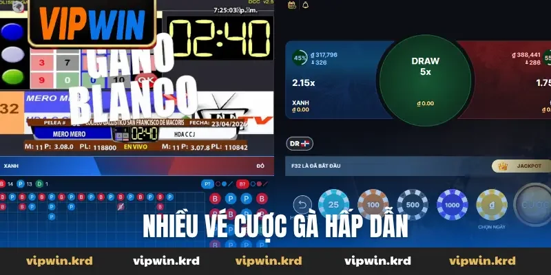 Nhiều vé cược gà hấp dẫn