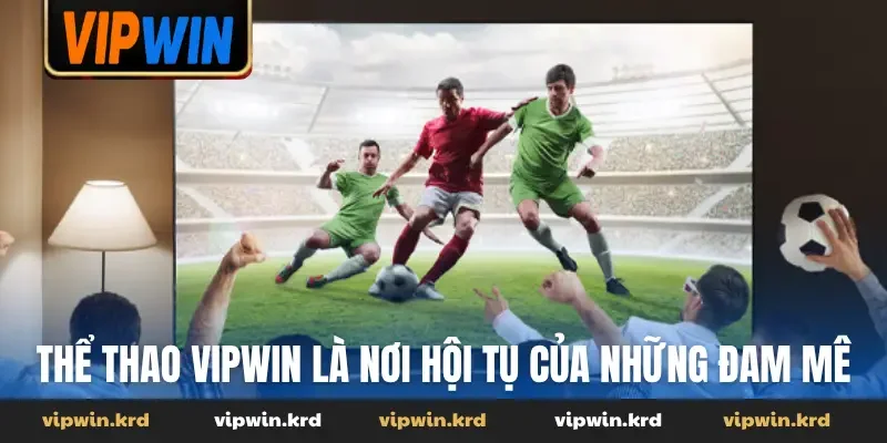 Thể thao Vipwin là nơi hội tụ của những đam mê