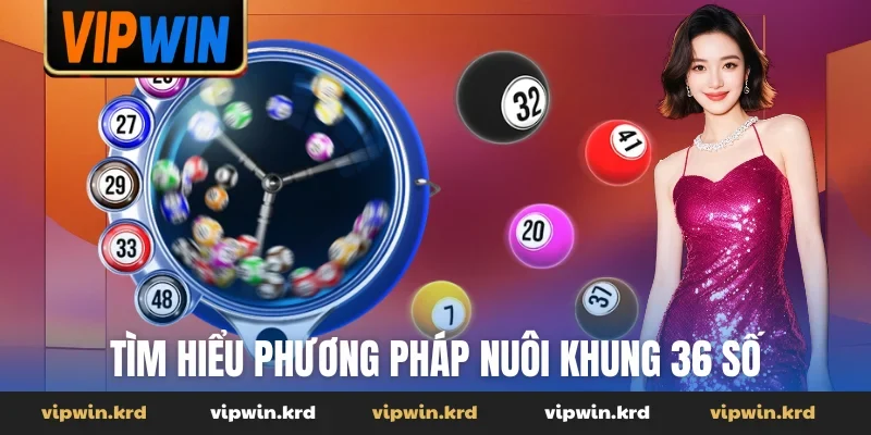 Tìm hiểu phương pháp nuôi khung 36 số