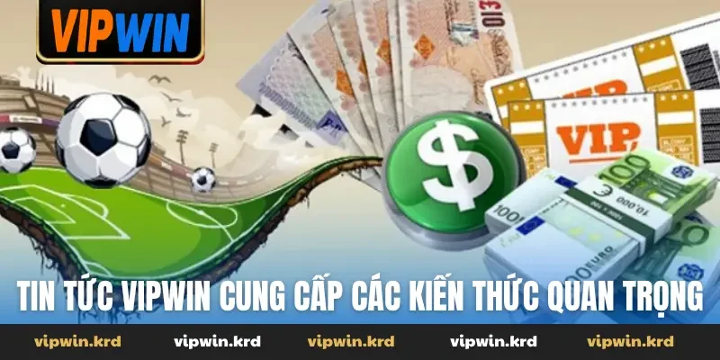 Tin tức Vipwin cung cấp các kiến thức quan trọng
