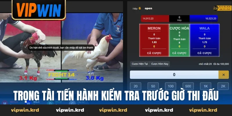 Trọng tài tiến hành kiểm tra trước giờ thi đấu